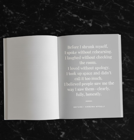 The Perfect Villain Book